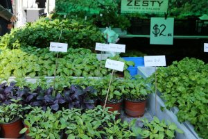 Bardon Community Markets