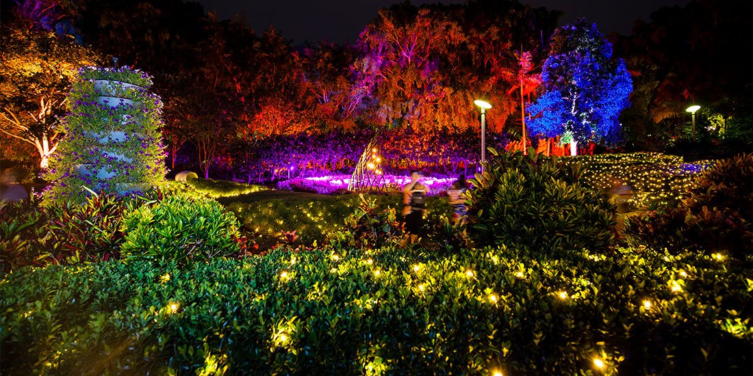 Miracle on Roma Street – the Enchanted Garden returns with a stunning light display