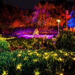 Miracle on Roma Street – the Enchanted Garden returns with a stunning light display