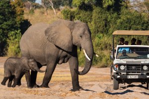 World Expeditions' Africa Information Evening