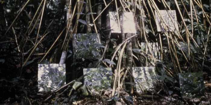 Robert Smithson: Time Crystals