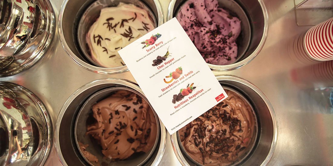 Creamy critters – where to try insect ice-cream for free