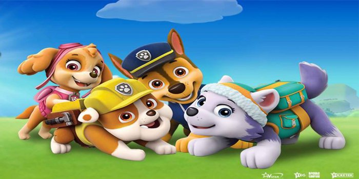 Paw Patrol Live! The Great Pirate Adventure