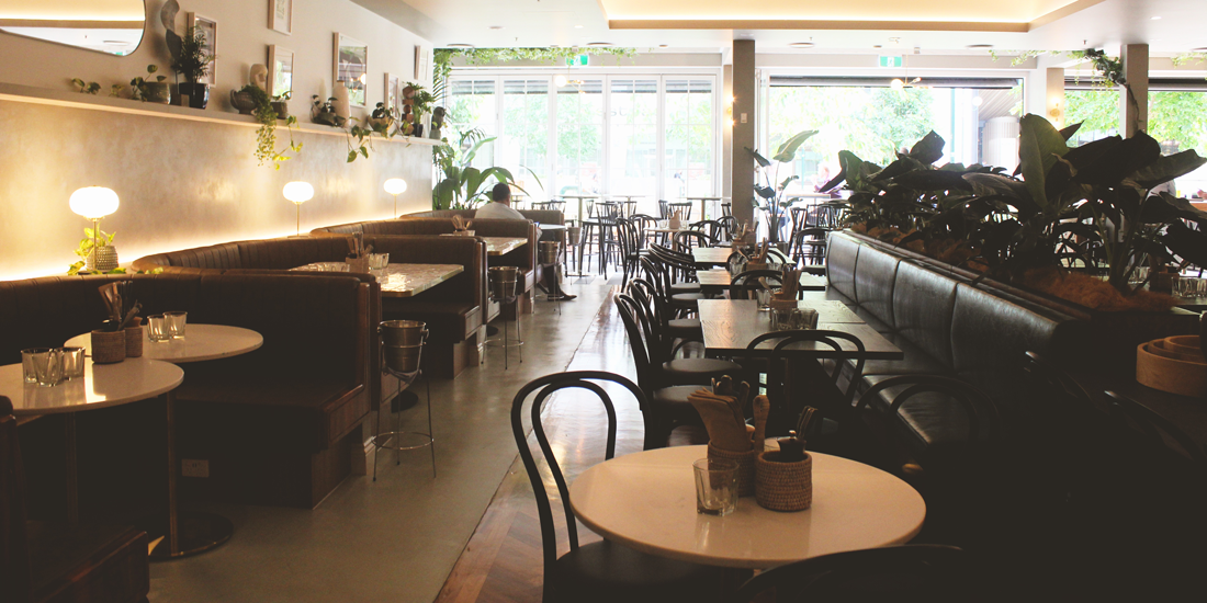 Brisbane City's leafy new micro-pub Isles Lane turns on the taps