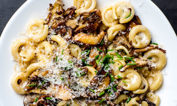 Five hearty pasta recipes to warm your bones and soothe your soul