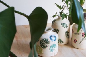 botanic: an exhibition of ceramics by Ayesha Aggarwal