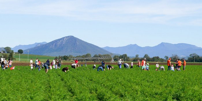 Scenic Rim Eat Local Week