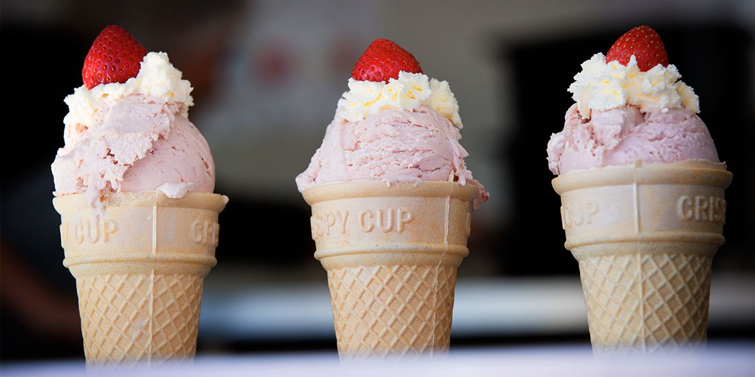 The Ekka returns with strawberry sundaes, dagwood dogs and all of the agriculture