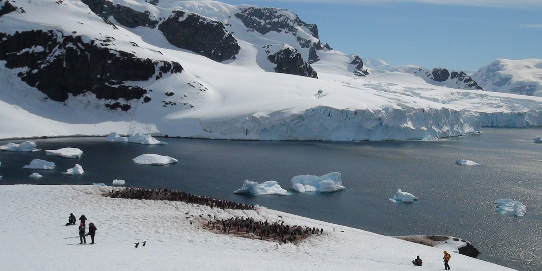 Feed your curiosity and cruise the Antarctic with Dr Karl