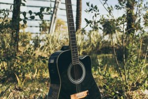 Tunes under the Tree