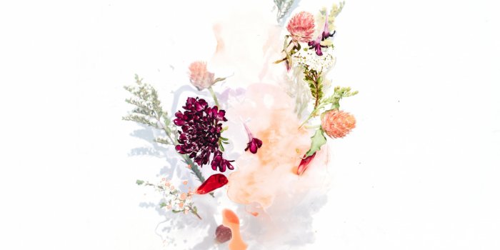 Spring Floral Illustrations with Alexandra Nea