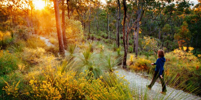 Lord Mayor’s Green Heart Photography Competition