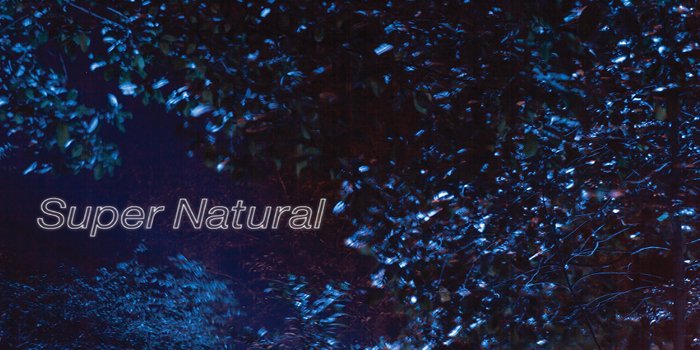 VERGE Collective with artist Marian Drew presents Super Natural