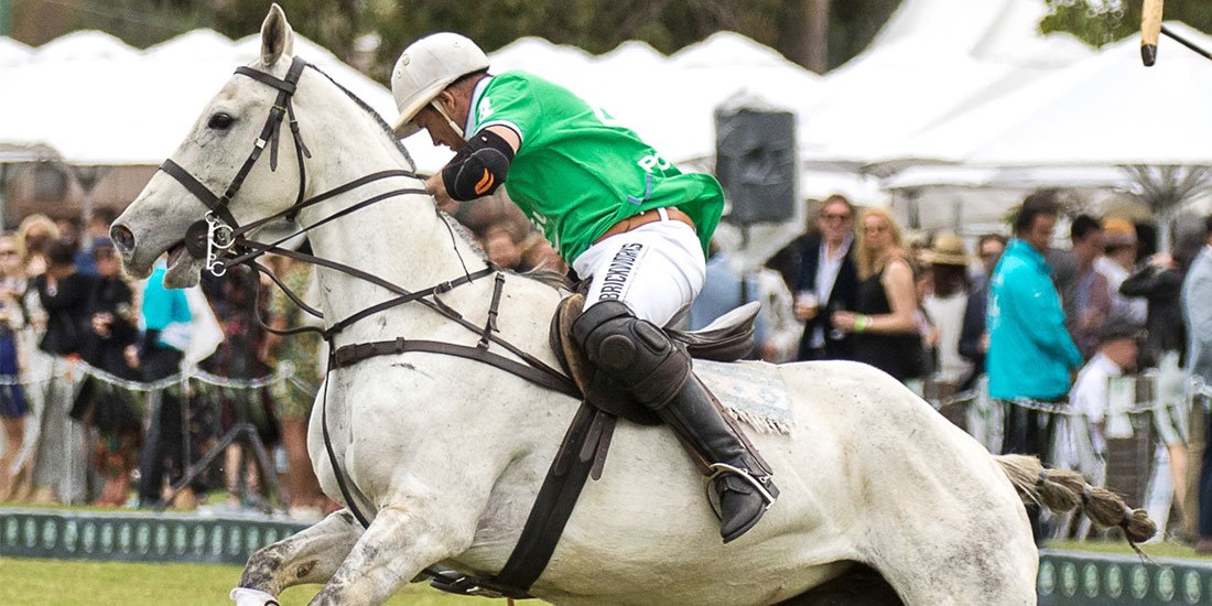 Hot to trot – Land Rover Polo in the City brings us action, glamour and fabulous fun