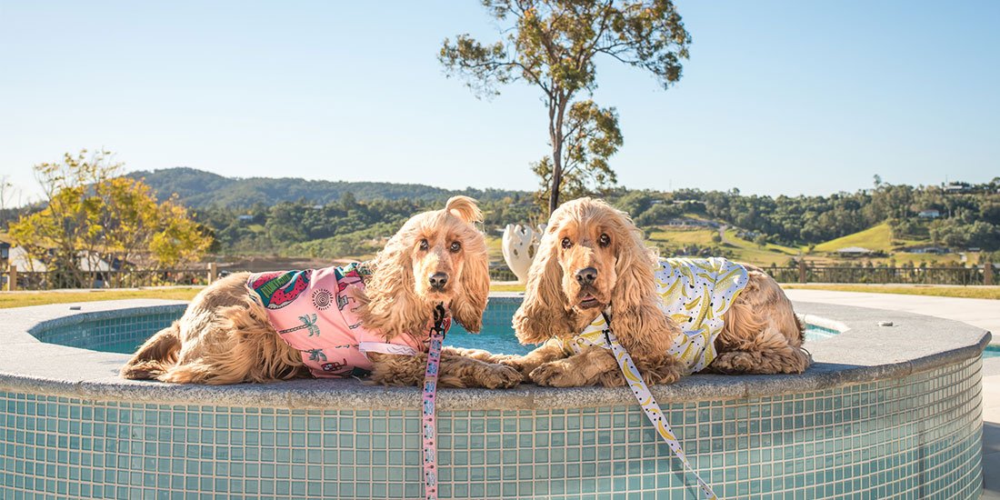 Match your best furry mate with threads and accessories from Brisbane’s own Pablo & Co.