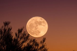 Full Moon Yoga Nidra