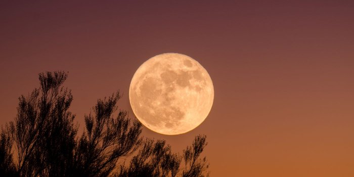 Full Moon Yoga Nidra