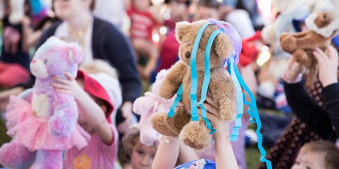 Redcliffe Teddy Bears' Picnic