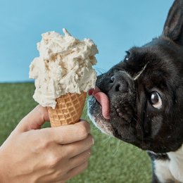 Gelatissimo scoops out limited-edition dog-friendly gelato for all the good boys