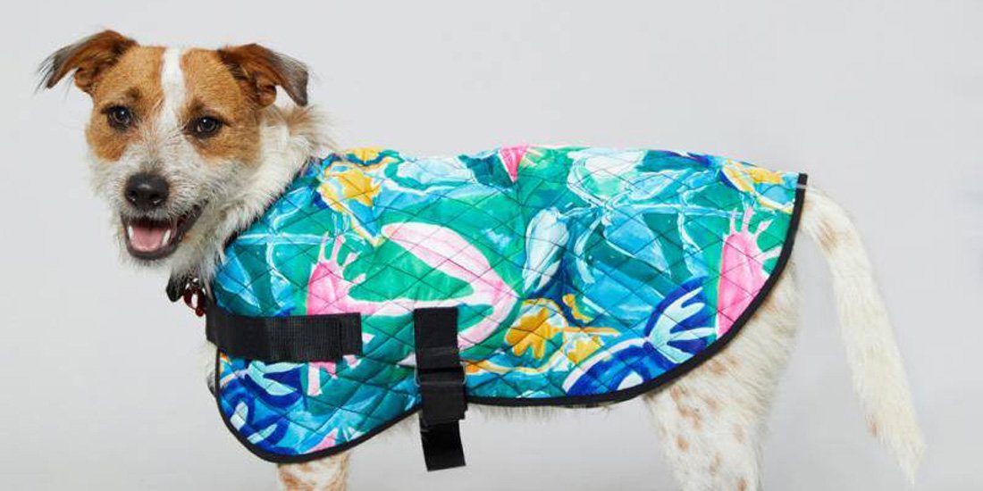 Keep Aussie pets safe with a limited-edition PetRescue x Gorman dog coat