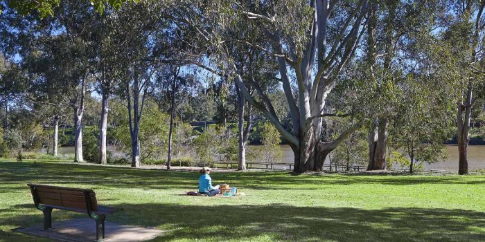 Sherwood Arboretum guided walk