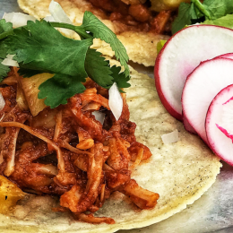 Meat-free Mexican – El Planta takes tacos to new heights at Wandering Cooks