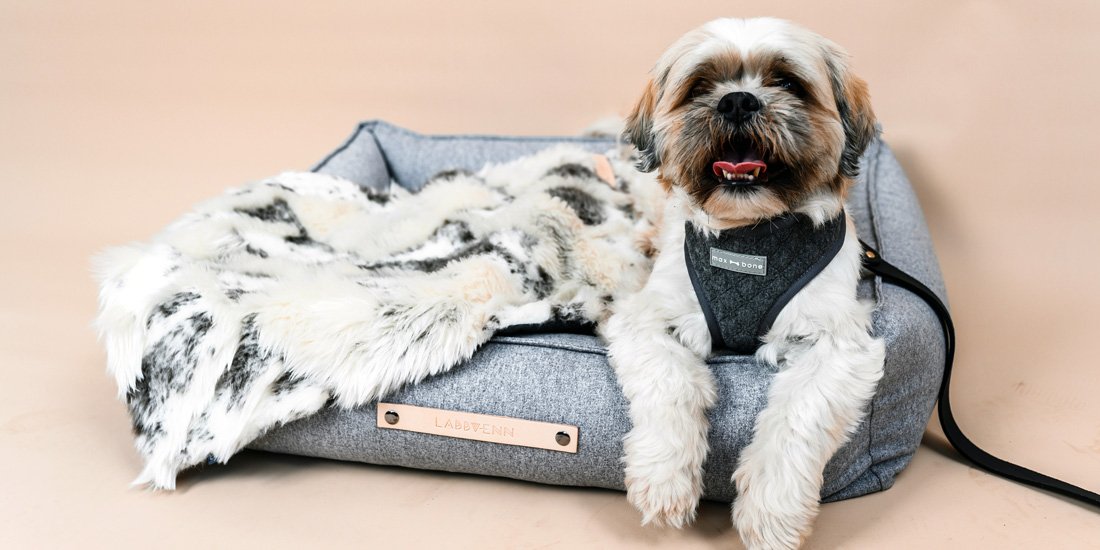 Spoil your pupper pal with a luxe lead from Topdog Boutique