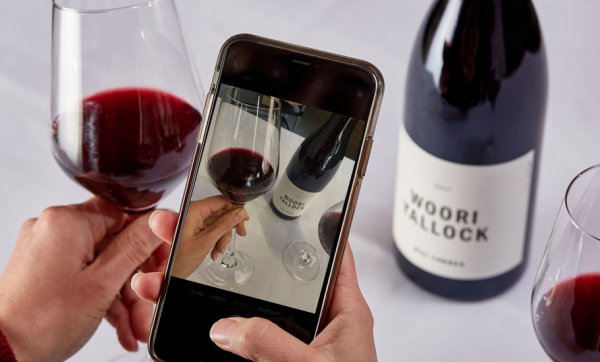 Fancy a specific drop? TextWine is your own personal sommelier