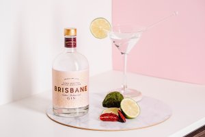 Froth's Cocktail Making Classes with Brisbane Gin