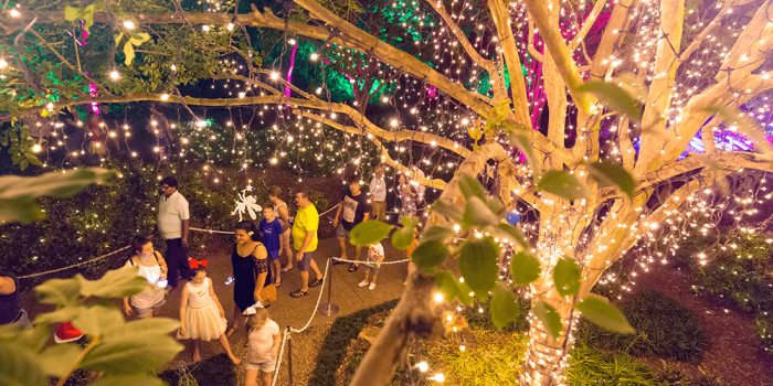 Christmas at South Bank and Roma Street Parklands