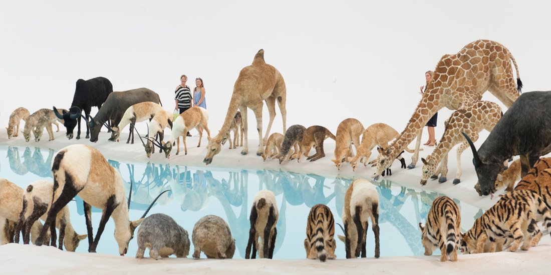 TEMPORARILY CLOSED Explore and celebrate the vital element of Water at GOMA'S latest exhibition