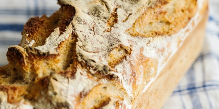 Sourdough Basics Workshop