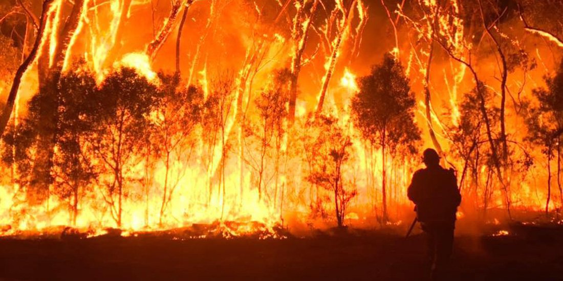 Image result for australian forest fire praire