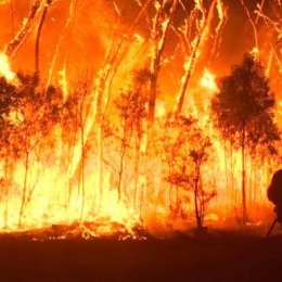 The most effective ways you can support bushfire relief efforts