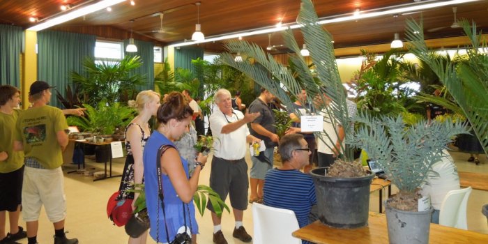 National Palm & Cycad Show