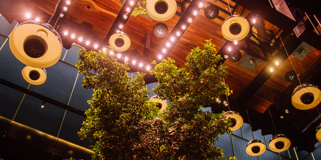 Get loud at Brunswick Mall's new two-level music haven The Sound Garden