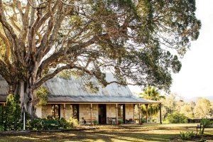 Recording Significant Trees Workshop