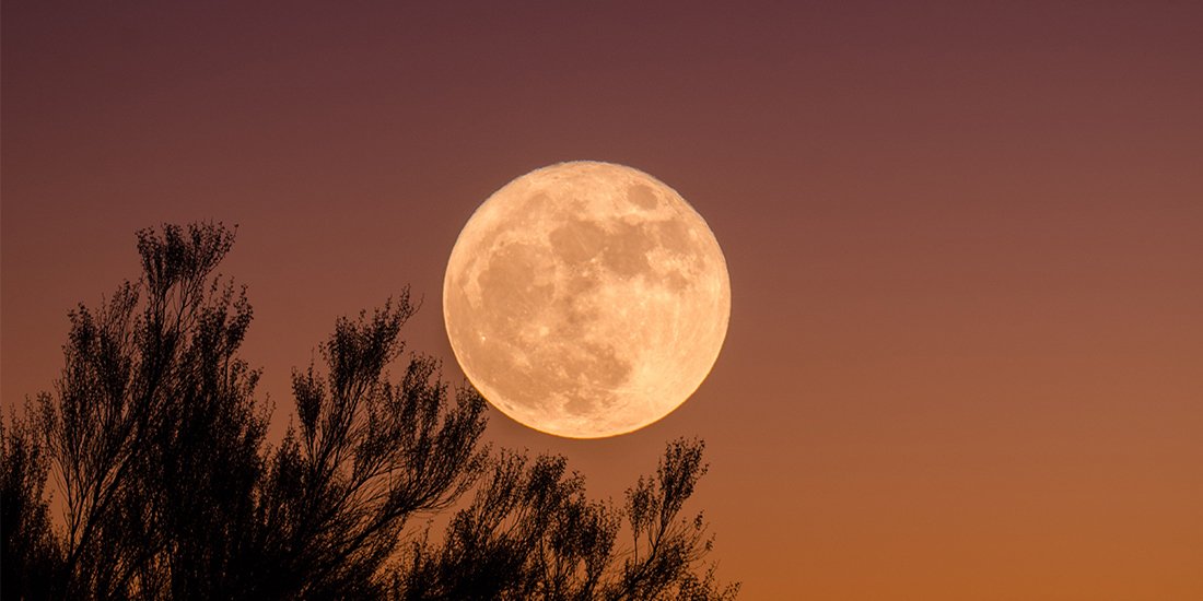 Look up! When you can see the April supermoon in Brisbane