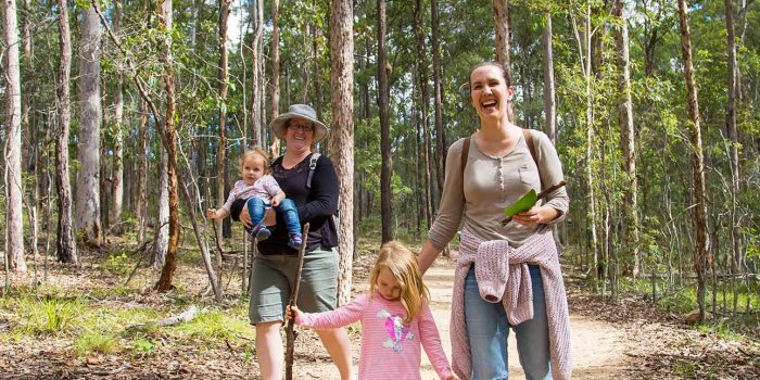 Family-friendly forest walk