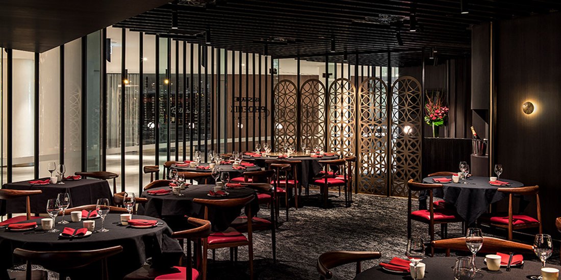 Chopsticks at the ready – chow down on yum cha bites at contemporary Chinese eatery Brisbane Phoenix