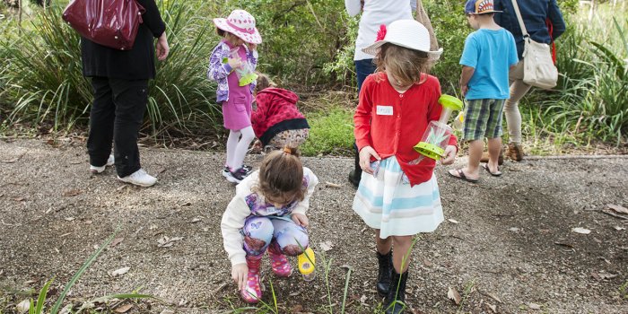 Forest discovery guided walk