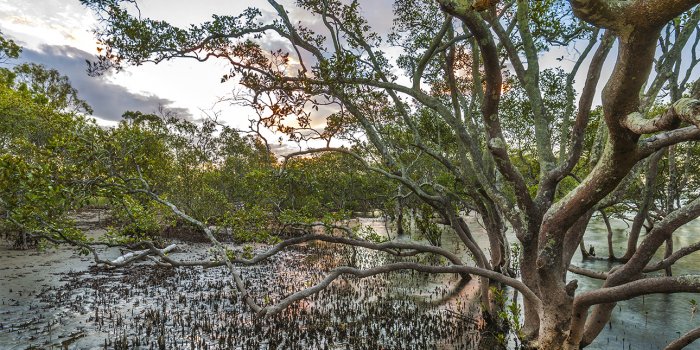 Family walk in the wetlands