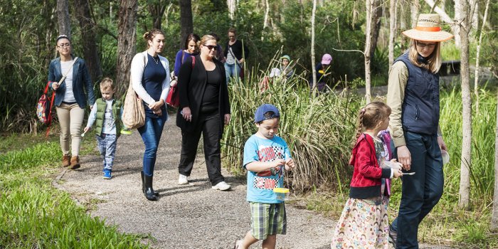 Bush Kindy – Guided walk in the wetlands