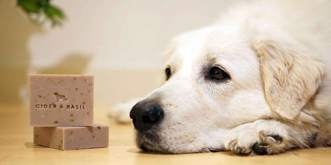 Give your dog a taste of the good life with botanical shampoo bars and calming pet-friendly candles