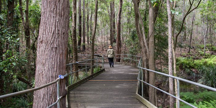 Bush Buddies – Biodiversity walk