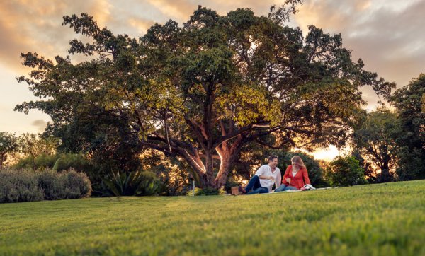 Jazzy picnics, Disney drive-ins and blockbuster motorcycle exhibitions – the best spring events to check out in Brisbane