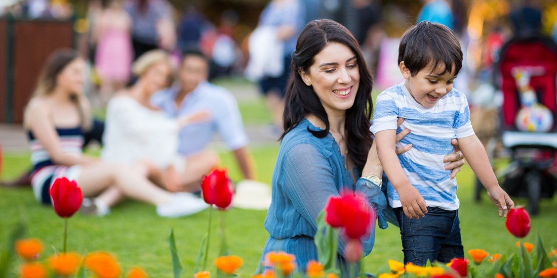 Petal power – our top five things to check out at Toowoomba Carnival of Flowers