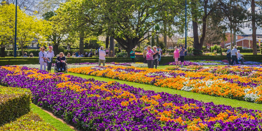 Petal power – our top five things to check out at Toowoomba Carnival of Flowers