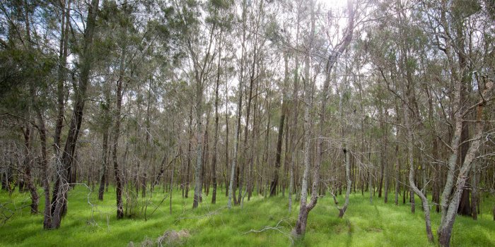 Citizen science walk