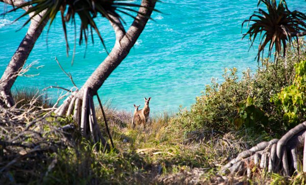 North Stradbroke Island comes alive with colour and creativity for the Minjerribah Arts Trail